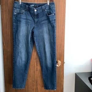 Lane Bryant Genius Fit jeggings Size 18